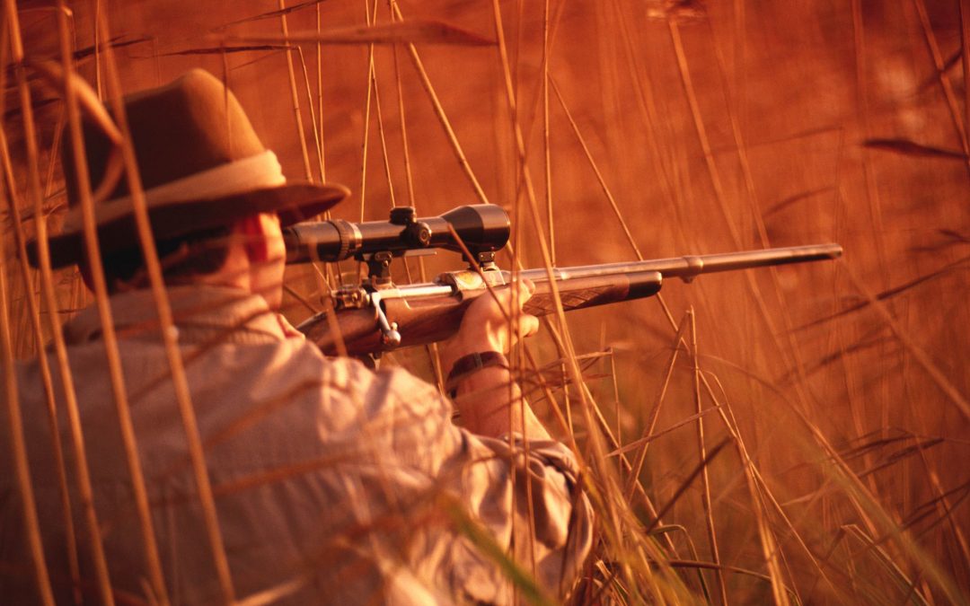 Bowhunting vs. Rifle Hunting: Choosing the Right Method for You