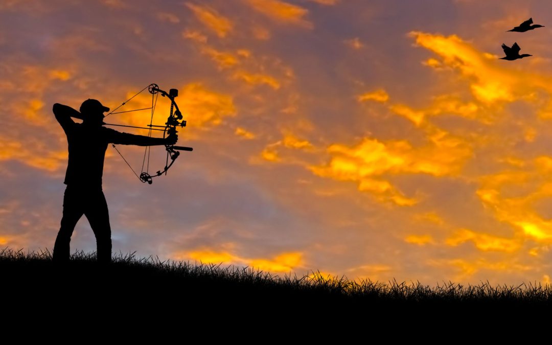 The Art of Archery Hunting: A Comprehensive Guide for Beginners