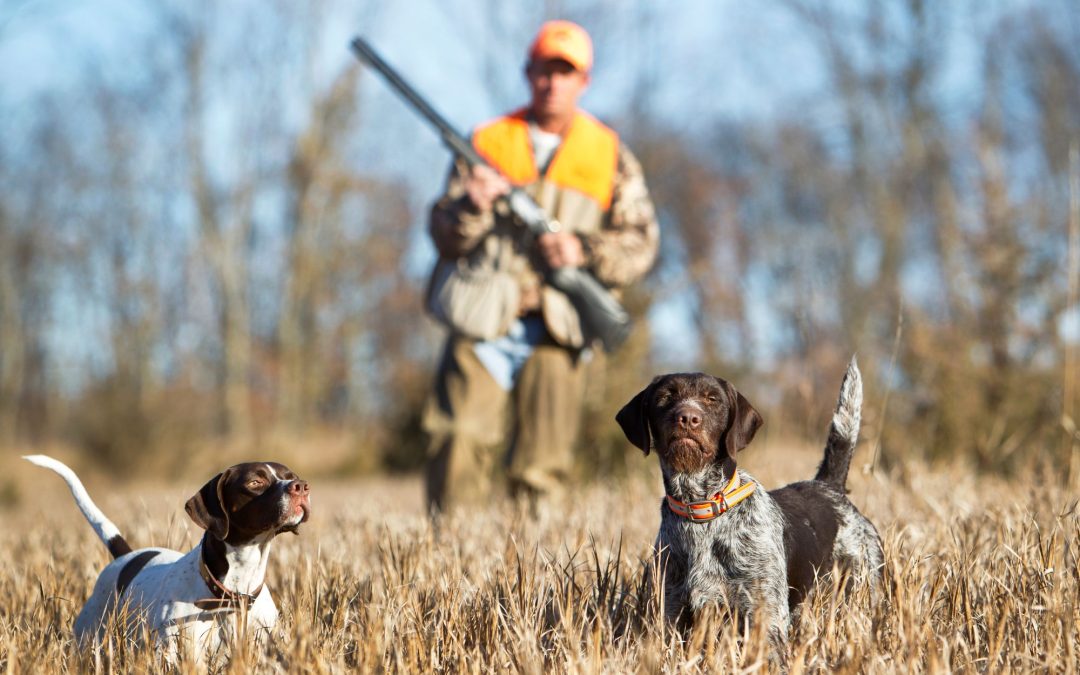 Staying Safe during Hunting Season: 10 Important Precautions to Take
